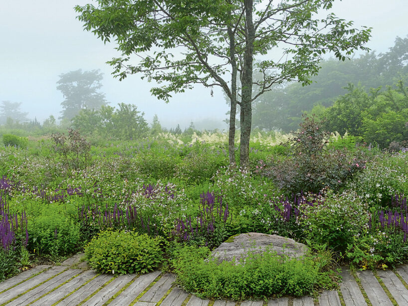 Tokachi Millenium Forest, Dan Pearson in collaboration with Takano Landscape Planning, Kamikawa District, Hokkaido, Japan, 2008