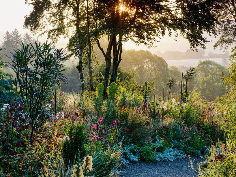 Hunting Brook Gardens, Jimi Blake, Wicklow Mountains, Republic of Ireland, 2001-