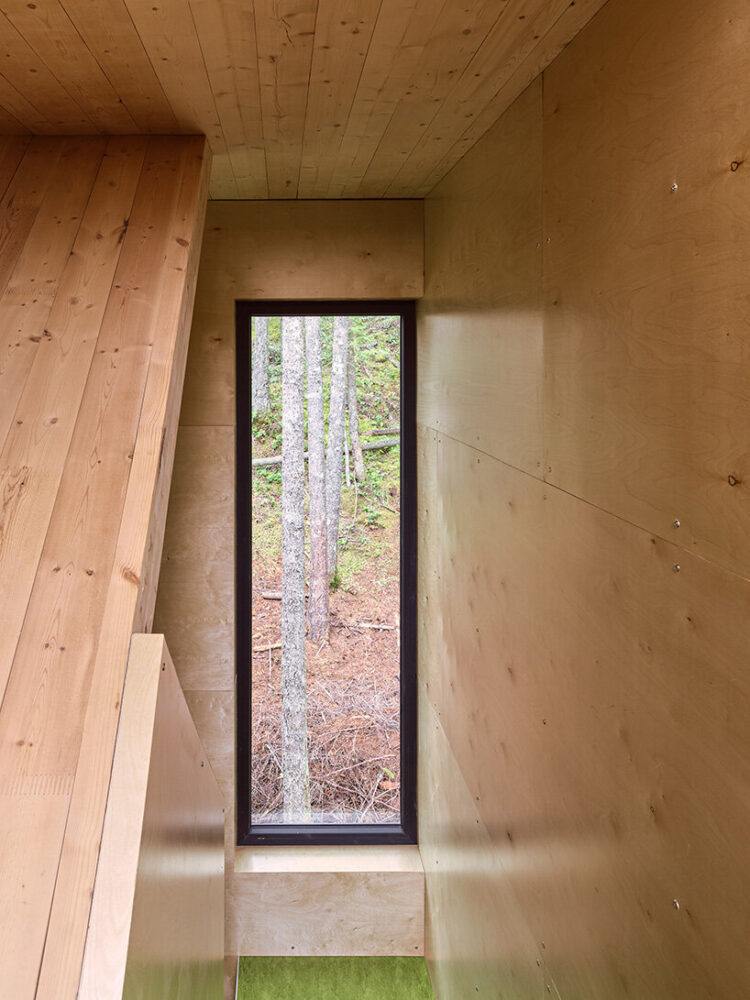 large openings frame forest views