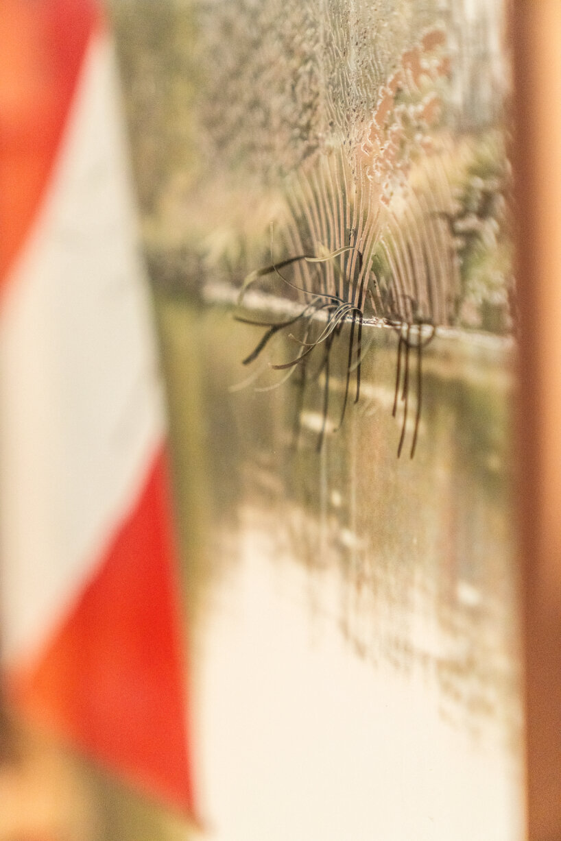 Lever les voiles sur le passé (close-up), scratching on copper wallpaper, 2025