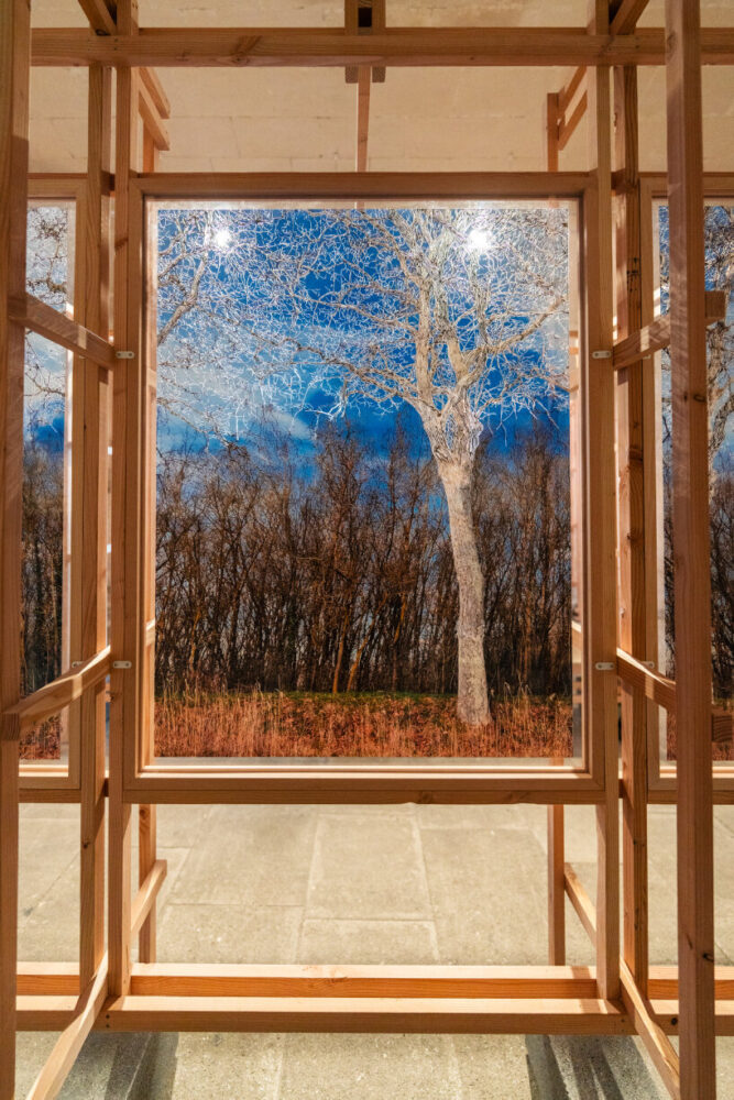 Ils étaient quarante deux mille / They were forty-two thousand (detail), scratching on plexis, 2025