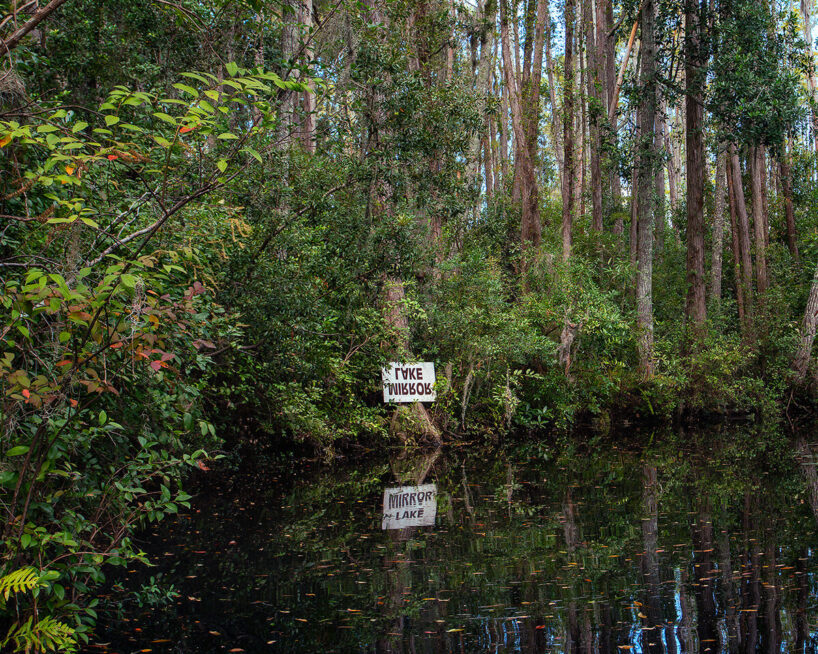 Karen Knorr and Anna Fox, Okefenokee Swamp Park 2017