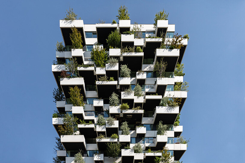 four years after its debut, the Trudo Vertical Forest continues to grow  | image by Giovanni Nardi