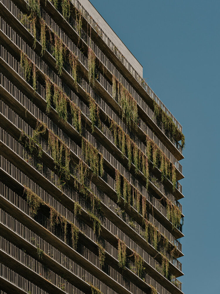 a graywater system allows for water reuse