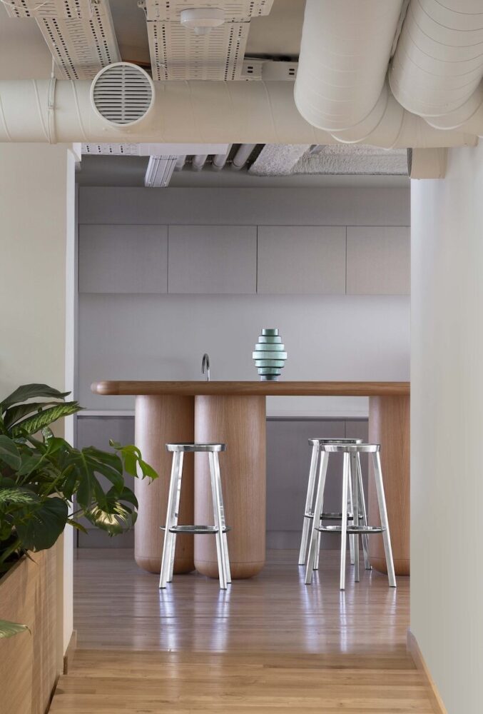 built-in cabinets and plants throughout the space introduce softer tones