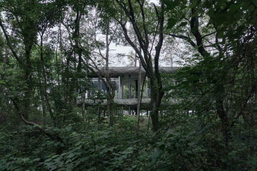 image © Pan Youjian