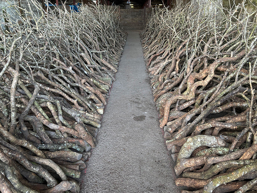 Andy Goldsworthy, Oak passage first built in farmer David Kirkpatrick's shed, Penpont, Dumfriesshire, 2025