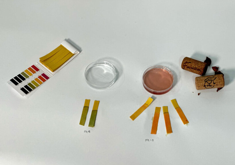 finely ground wine corks absorb oil and water, retain natural acids, and resist microbes