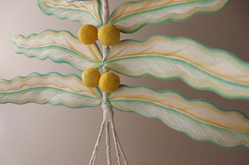 botanical forms that hover between the familiar and the imagined