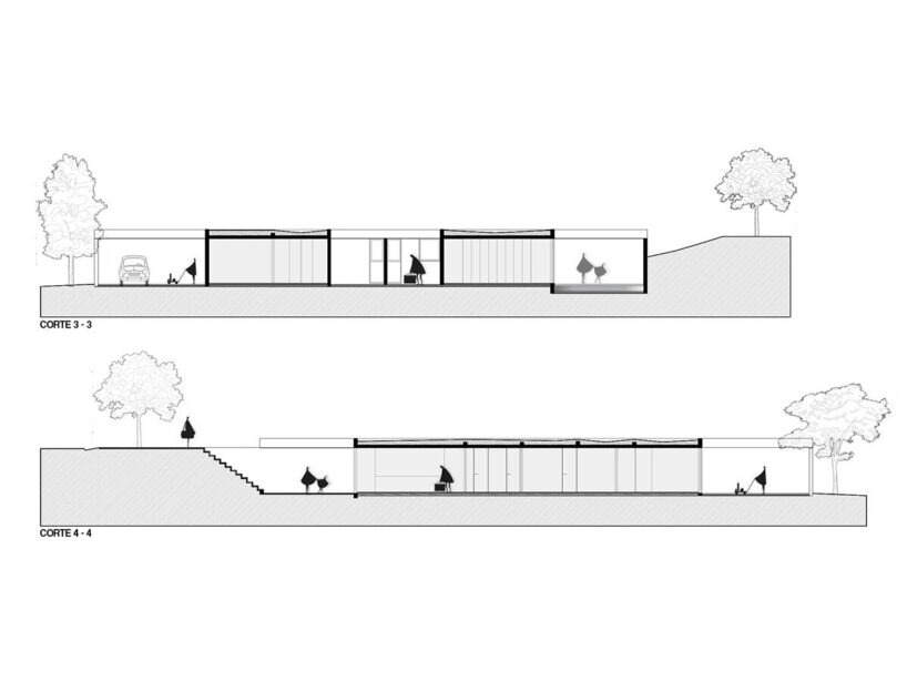longitudinal sections