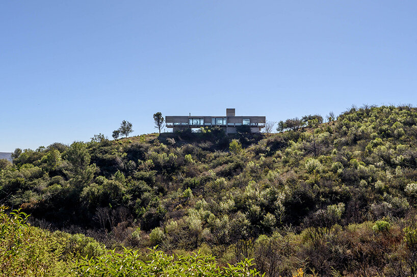 Estudio Cristian Nanzer Dragón