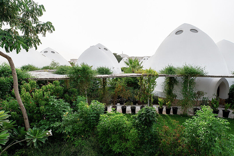 as the vegetation matures, it reinforces the idea that architecture extends beyond walls