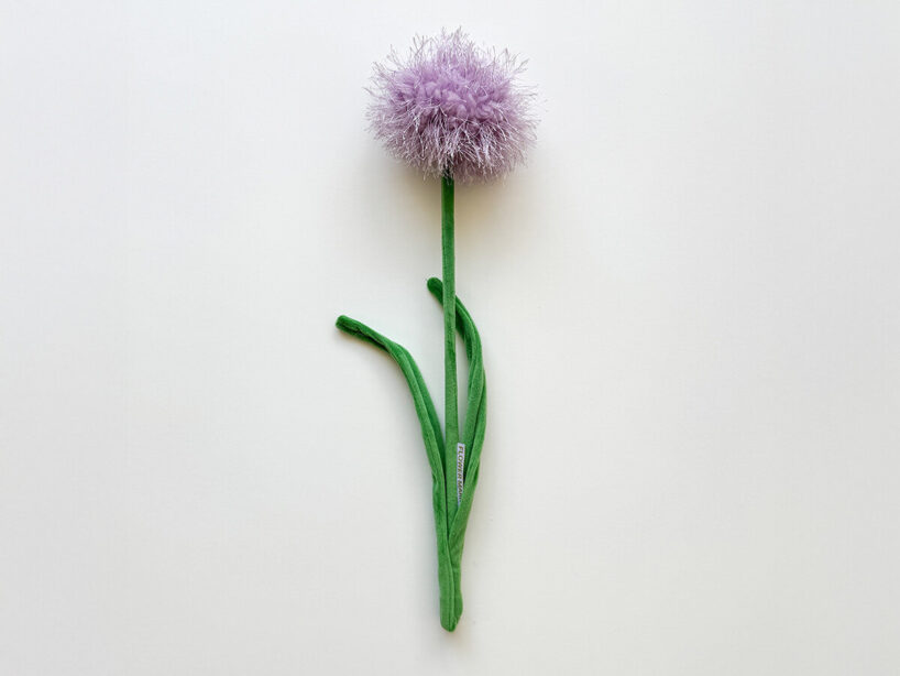 image © Cj Hendry Studio