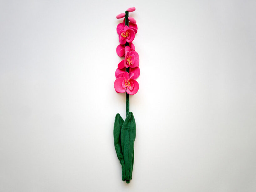 image © Cj Hendry Studio