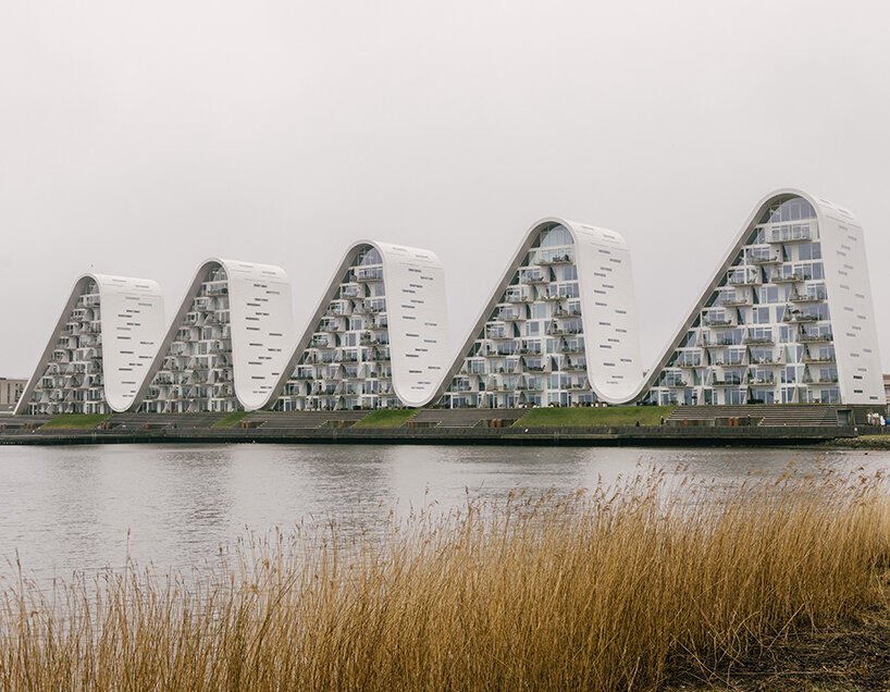 The Wave | image © Finbarr Fallon