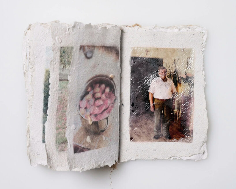 users can plant the entire book in soil to grow plants