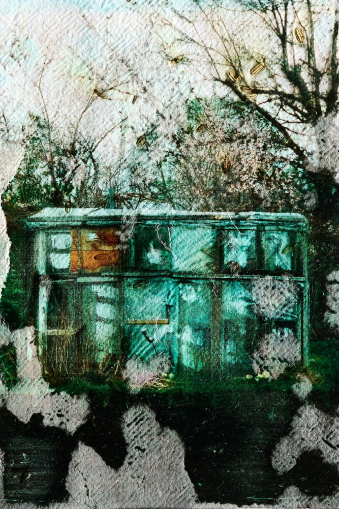 as the paper breaks down, it also provides nutrients for the sprouting seeds