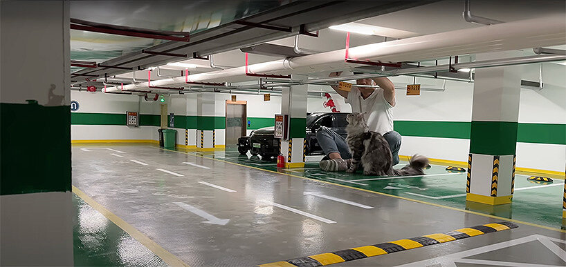 a pool, a parking garage, a supermarket, a home, and a movie theater complete the Cat Town