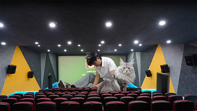 the process reveals the ongoing interaction between design and daily life in Xing’s home