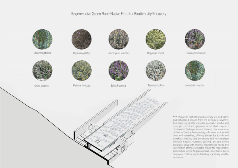 landscaping with native plants reduces water demand, promotes biodiversity, and improves soil health
