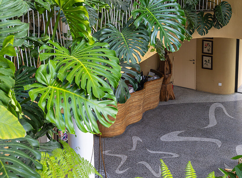 rough textures modulate sunlight and wind