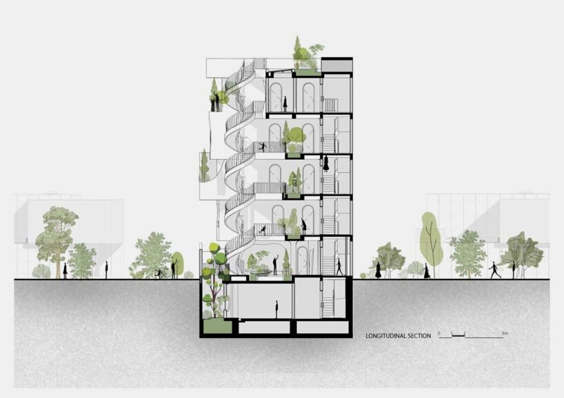 longtidudinal section