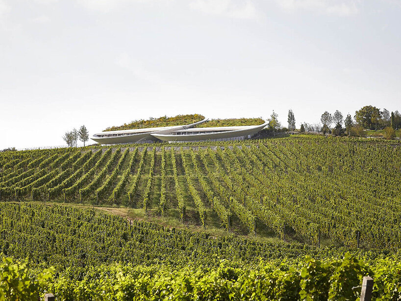 sauska tokaj winery hungary