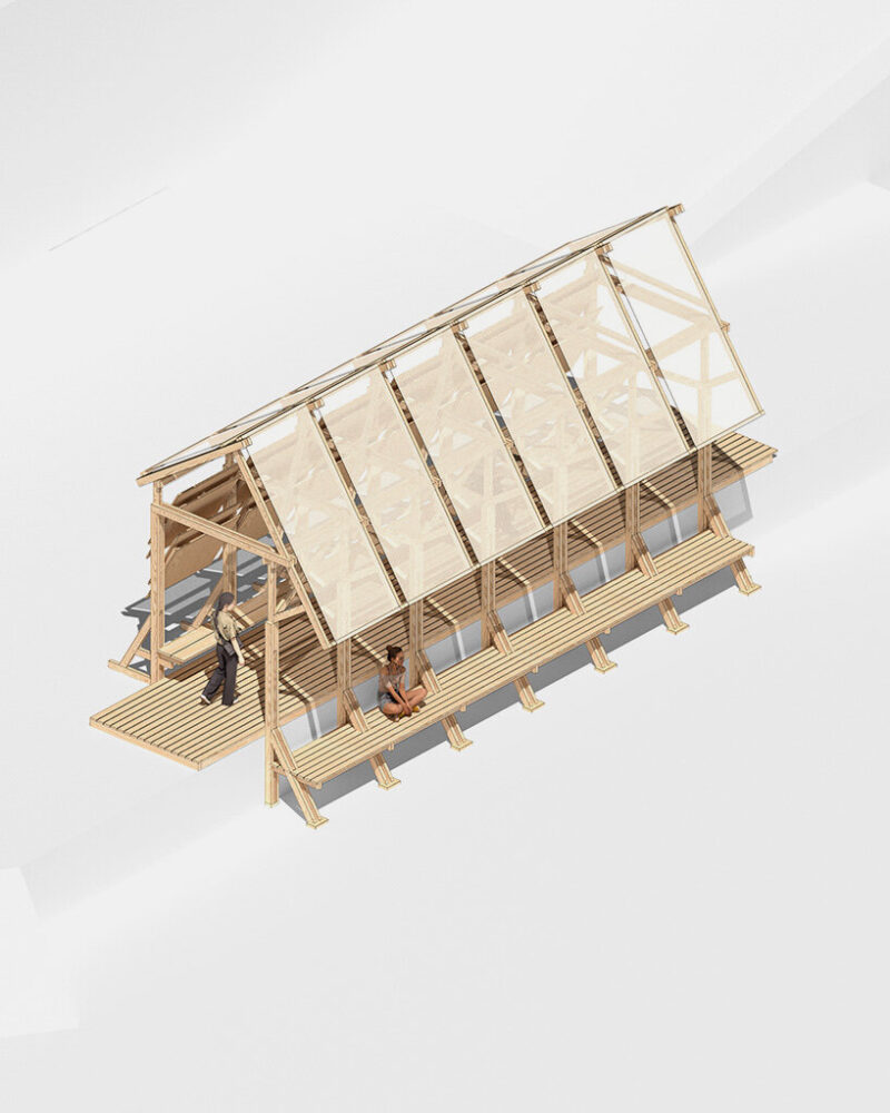 3D model of the structure