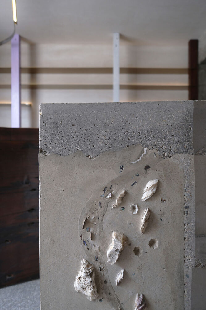 constellations of sea shells | image by Shu Yin