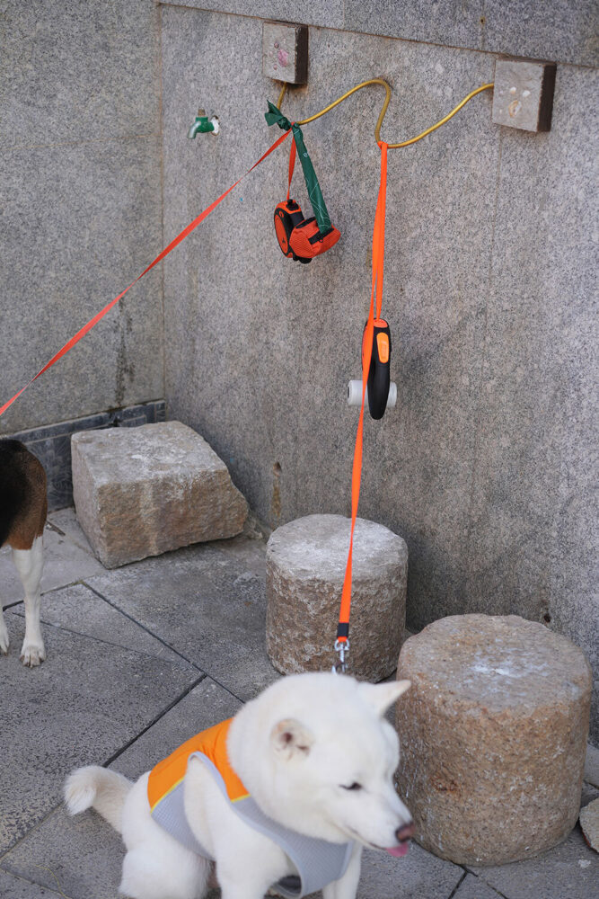 dog friendly detail | image by Local Fish Coffee