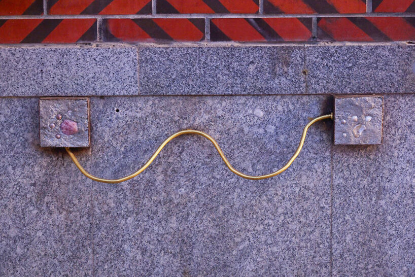 doggie paw in seashells | image by Xu Xiaodong