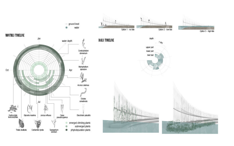 monthly timeline - daily timeline | image by Cristina Morbi