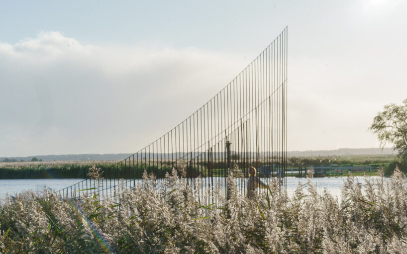 colors shift with the seasons, green in summer, golden in autumn | image by Kristina Chan