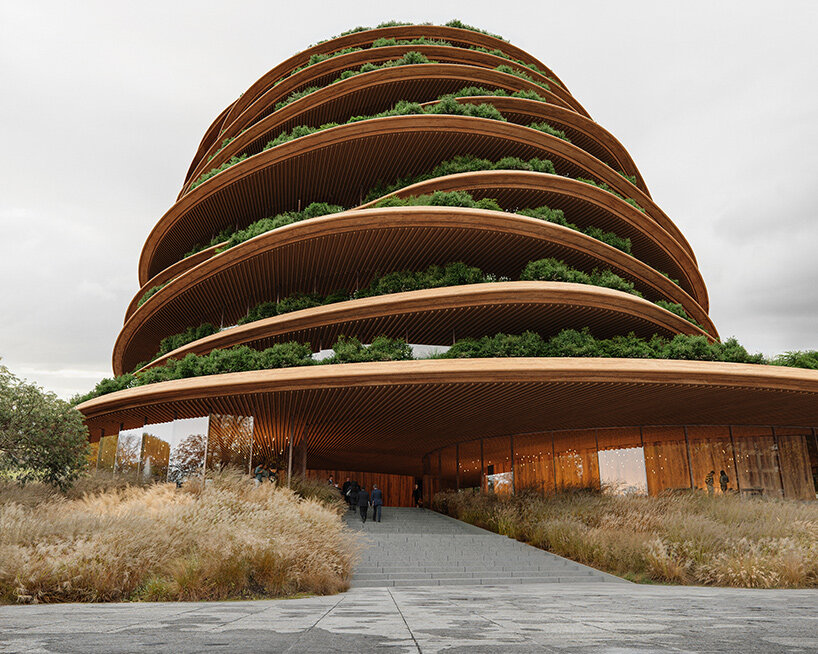 leinemann ortiz solum