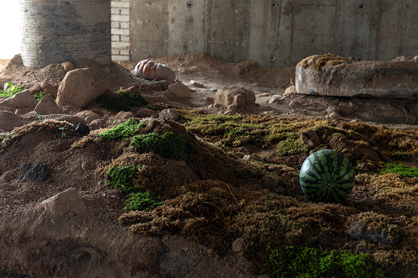 the collaborators constructed the exhibition as a handmade ecosystem