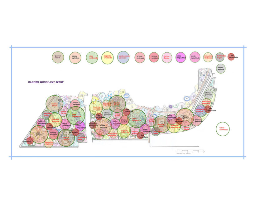 tree plan, Calder Gardens, Piet Oudolf