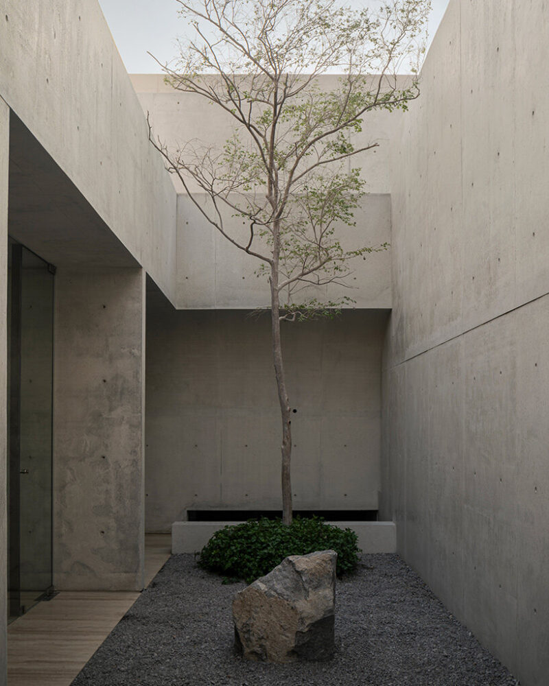 image © César Belio