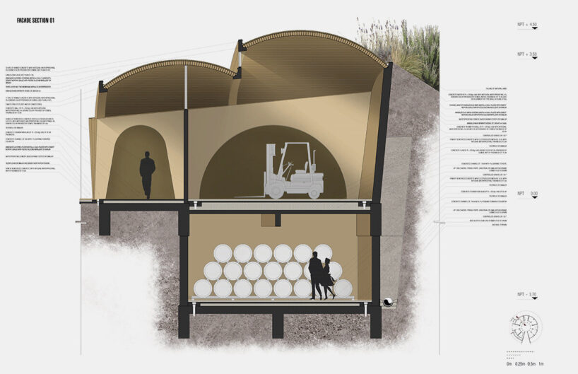 facade section | all drawings courtesy of Rojkind Arquitectos and Amasa Estudio
