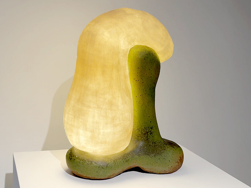 Carmen D’Apollonio friedman benda