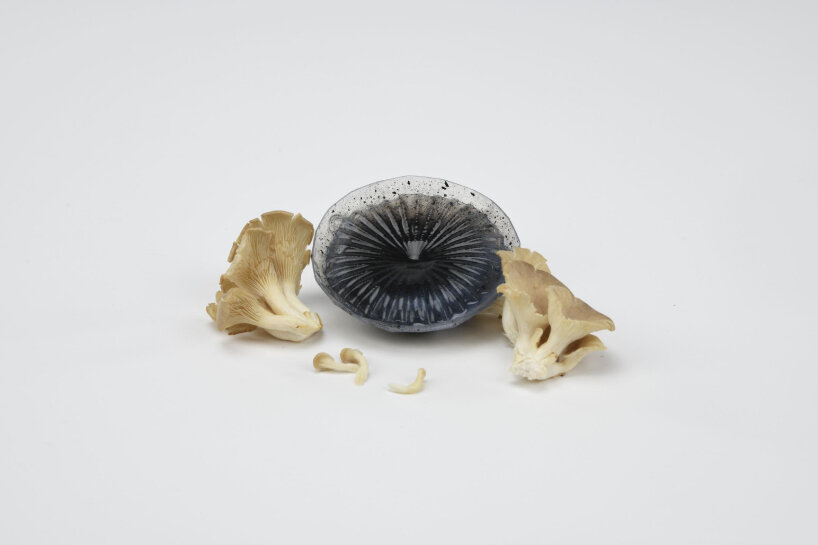 fungi-made prosthetic organ