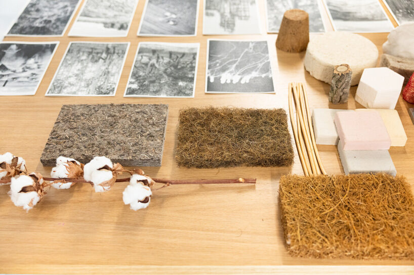 image © Gianluca Di Ioia