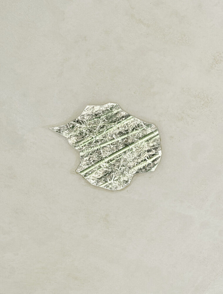 fleeting reflections of the surrounding vegetation and sky