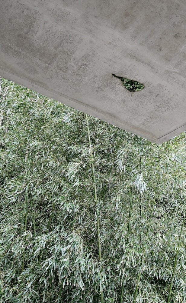 mirror-polished stainless steel inserts embedded within the walls recall the geological origins of stone