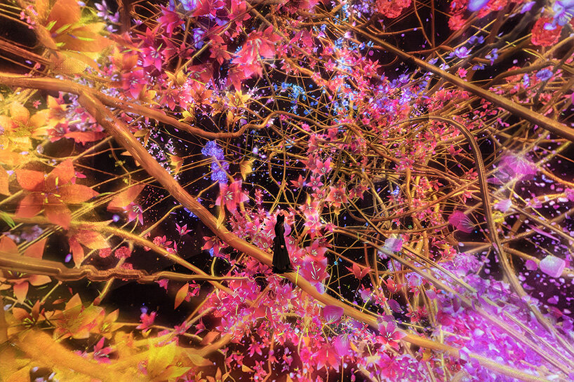 teamLab, Traces of Life, 2025, from the series Trails of Life - Transcending Space in All Directions, 2022-, Interactive Installation, Sound: Hideaki Takahashi
