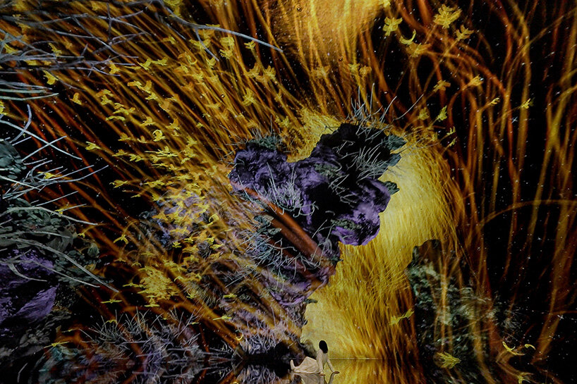 teamLab, The Way of Birds, 2025, from the series The Way of Birds, 2017-, Installation, Sound: Hideaki Takahashi