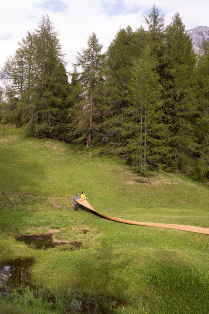 over time, the hay naturally decomposes back into the soil