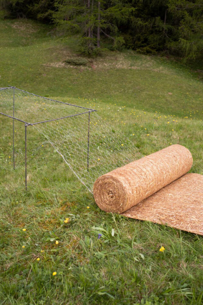 the cycle of growth, use, and renewal is embedded in the work