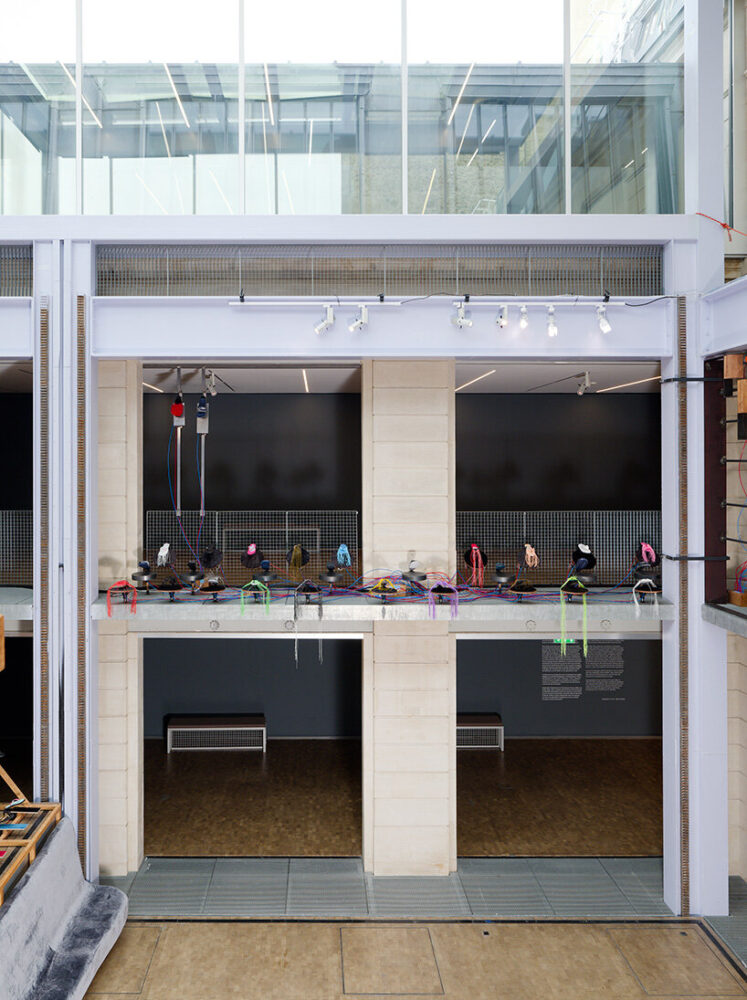 merging the hypnotic repetition of protest chants with the ecstatic cadence of football crowds 