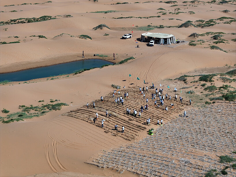 operation of edge-locking forest near the site | image by ©ATDEF team