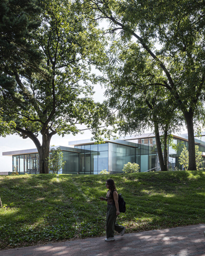 image © Laurian Ghinițoiu